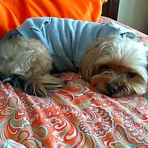 Meet your Posher, Addie